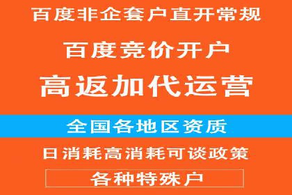 专业sem托管服务案例，揭秘广告投放优化策略